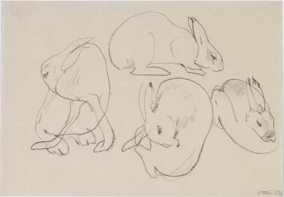 Шишмарёва Татьяна Владимировна. Кролики